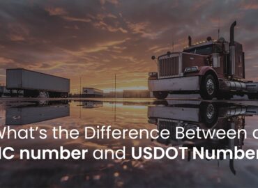 USDOT and MC numbers