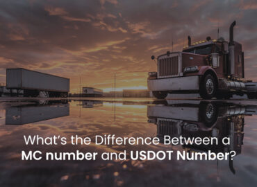 USDOT and MC numbers